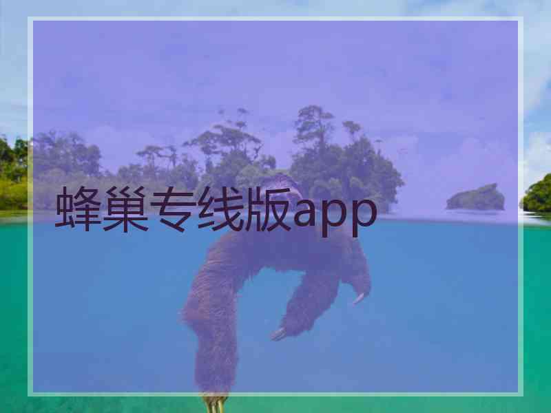 蜂巢专线版app