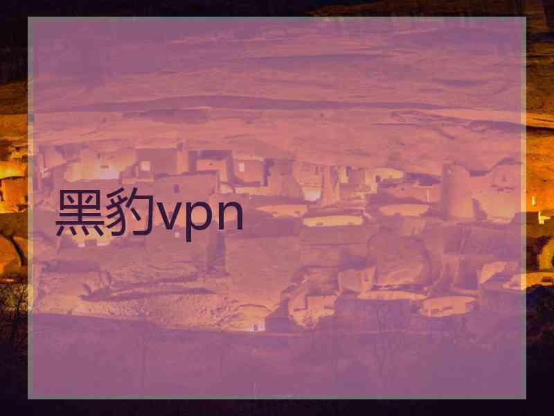 黑豹vpn