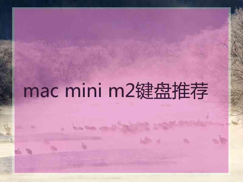 mac mini m2键盘推荐