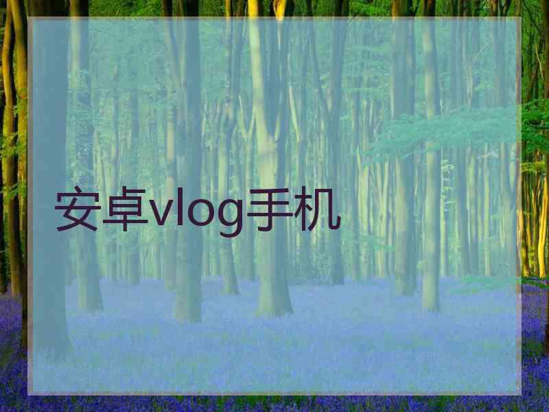 安卓vlog手机