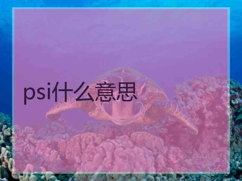 psi什么意思