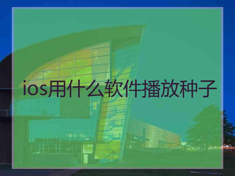 ios用什么软件播放种子