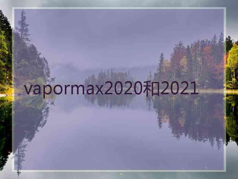 vapormax2020和2021