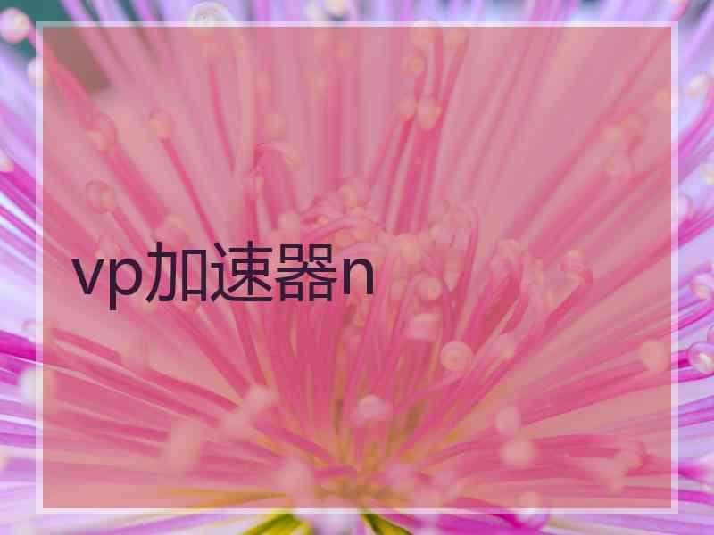 vp加速器n