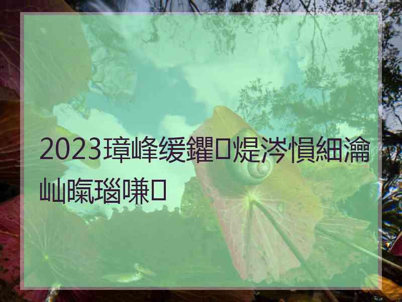 2023璋峰缓鑺煶涔愪細瀹屾暣瑙嗛