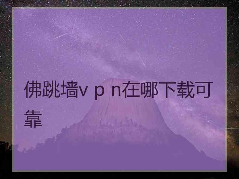 佛跳墙v p n在哪下载可靠