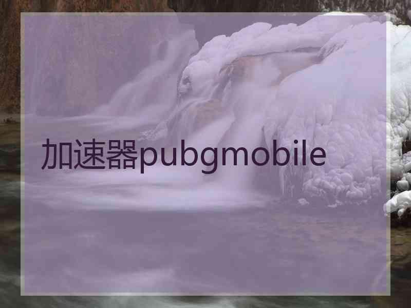 加速器pubgmobile