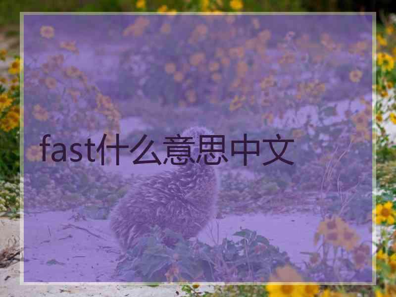 fast什么意思中文