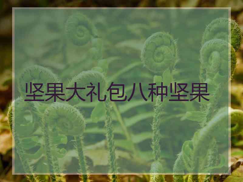 坚果大礼包八种坚果