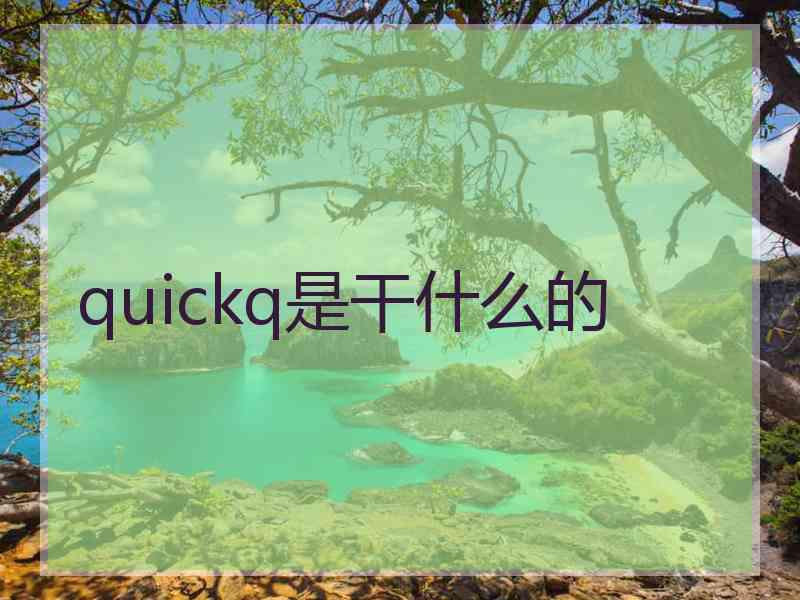 quickq是干什么的