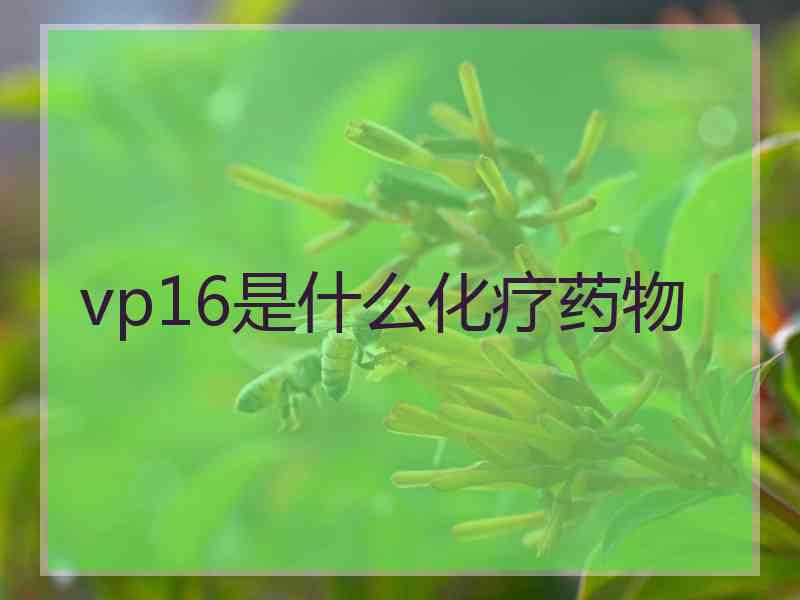 vp16是什么化疗药物