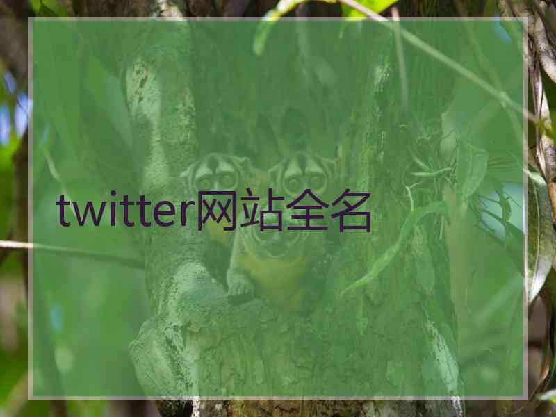 twitter网站全名