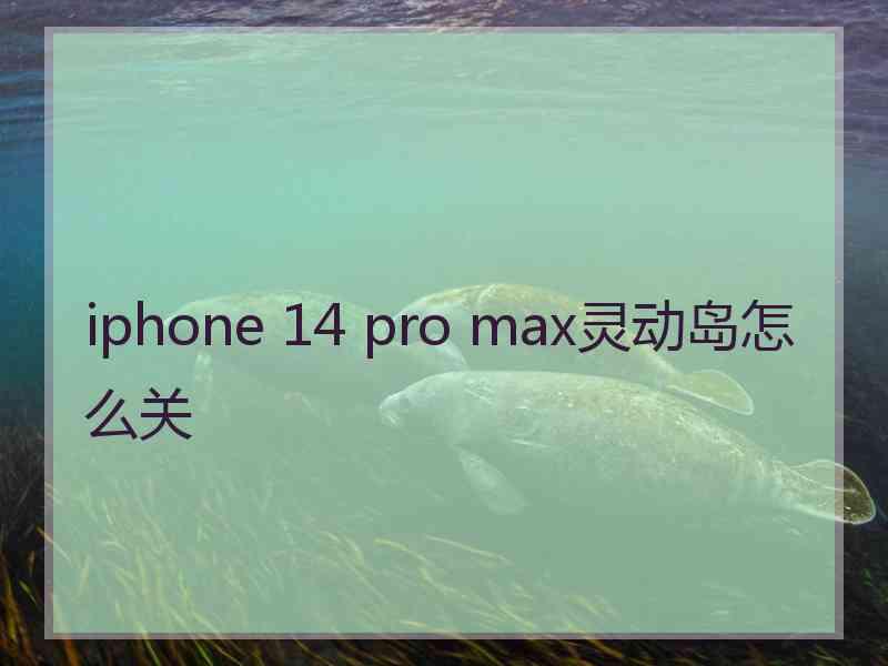 iphone 14 pro max灵动岛怎么关