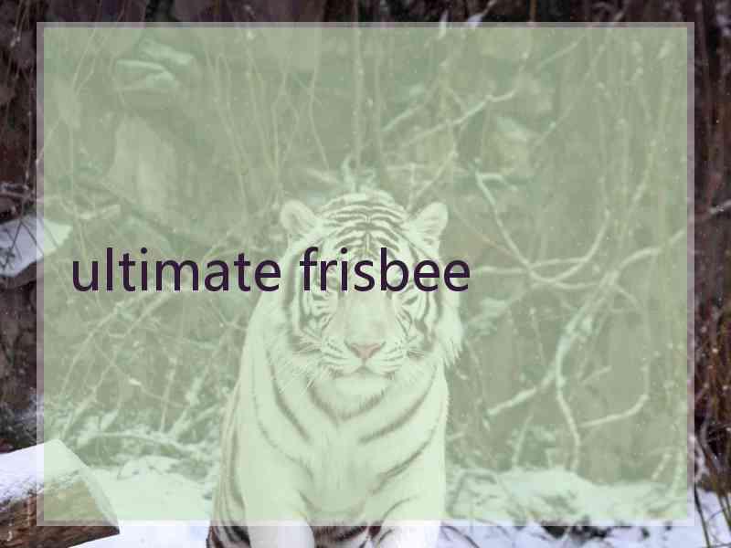 ultimate frisbee