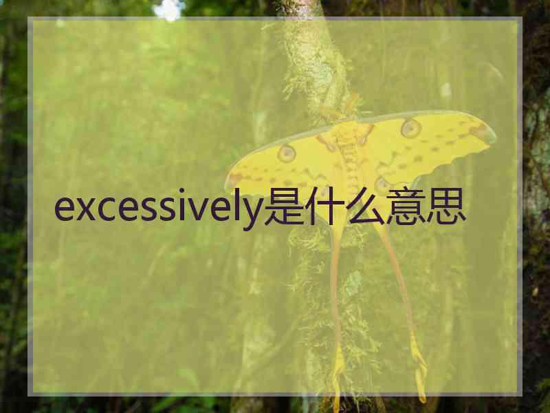 excessively是什么意思