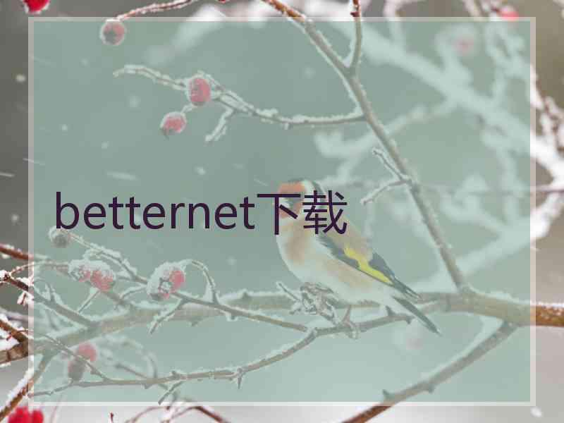 betternet下载