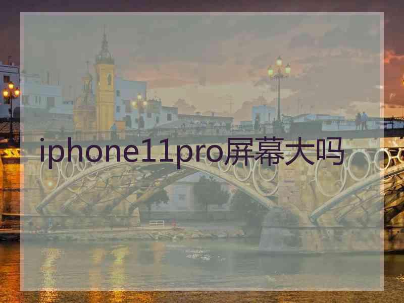 iphone11pro屏幕大吗