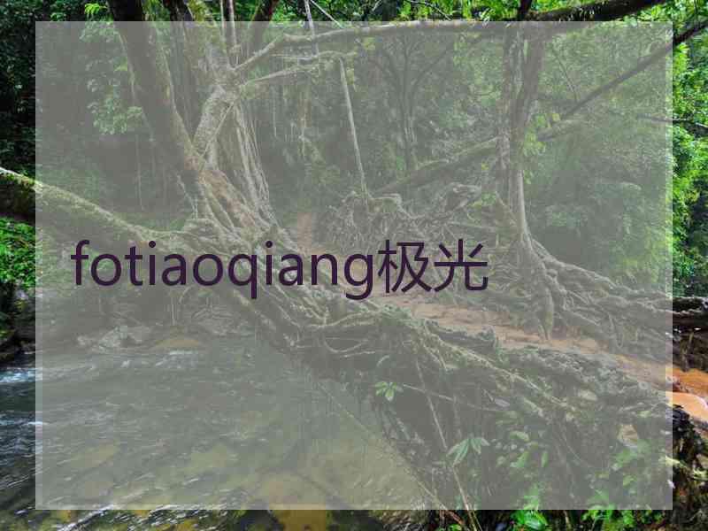 fotiaoqiang极光