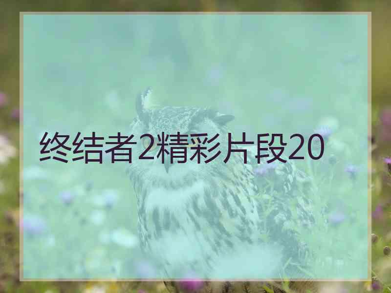 终结者2精彩片段20