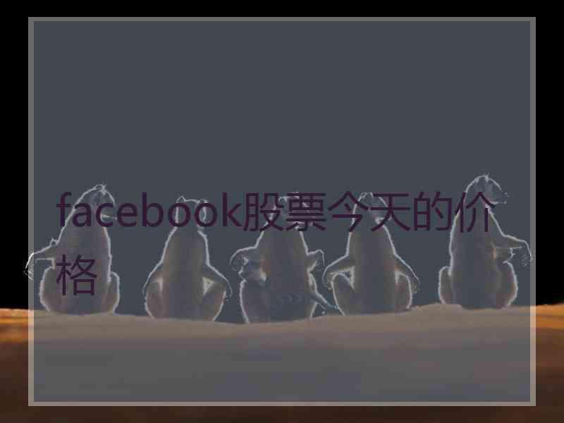 facebook股票今天的价格