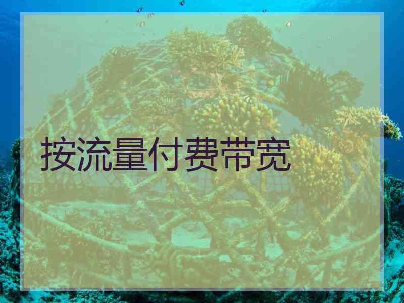 按流量付费带宽