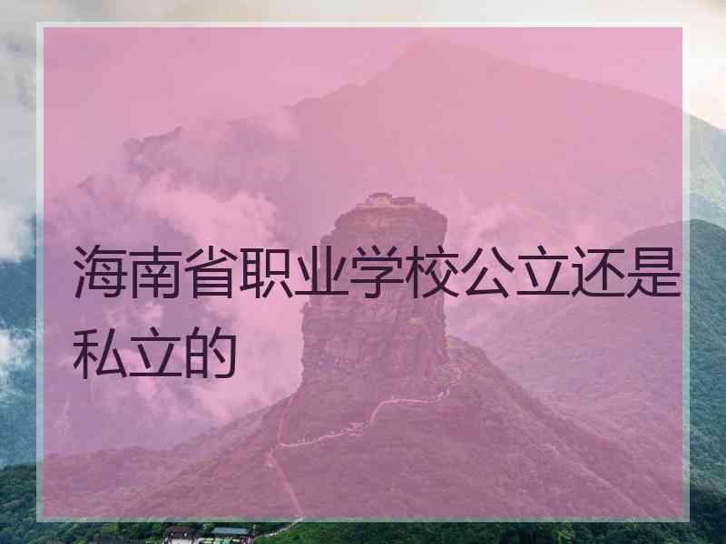 海南省职业学校公立还是私立的