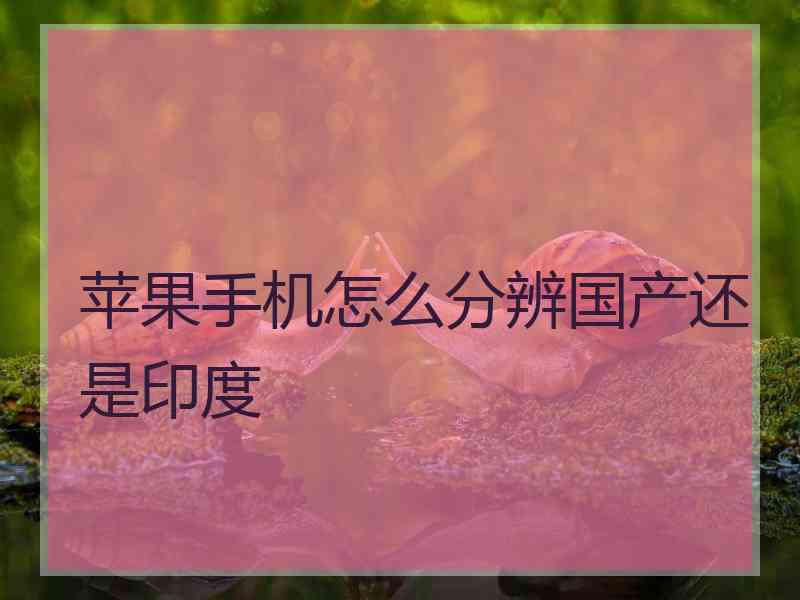 苹果手机怎么分辨国产还是印度