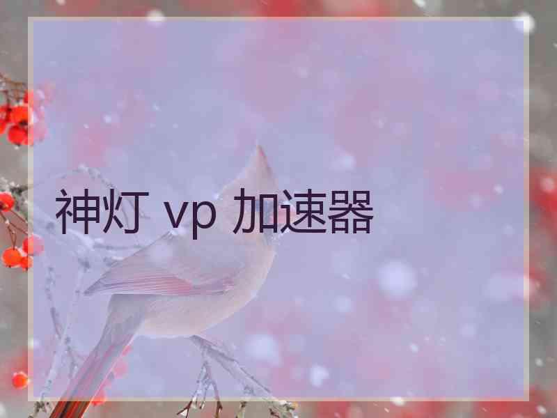 神灯 vp 加速器