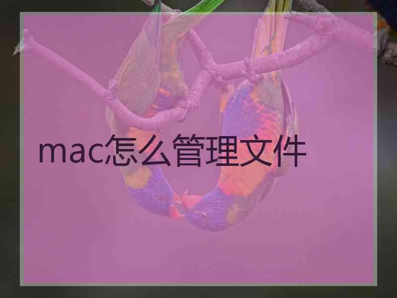 mac怎么管理文件