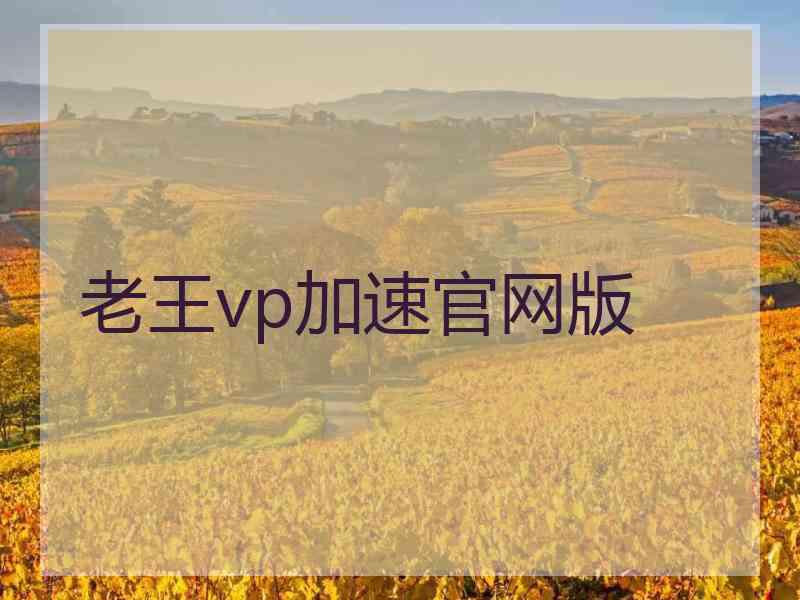 老王vp加速官网版