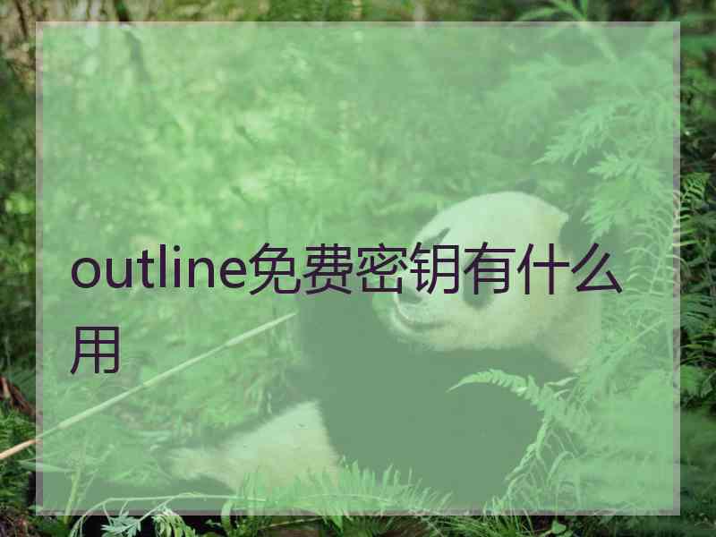 outline免费密钥有什么用