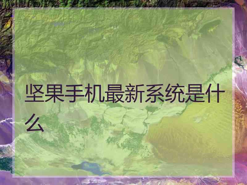 坚果手机最新系统是什么