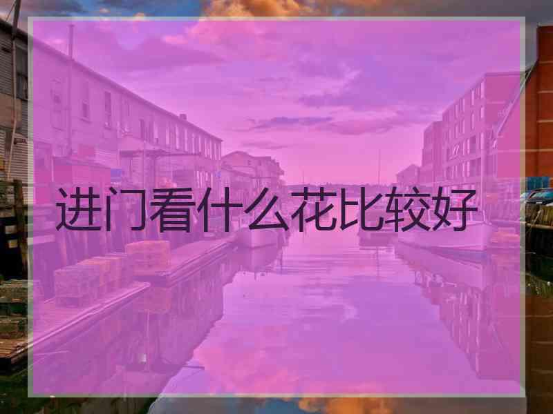 进门看什么花比较好