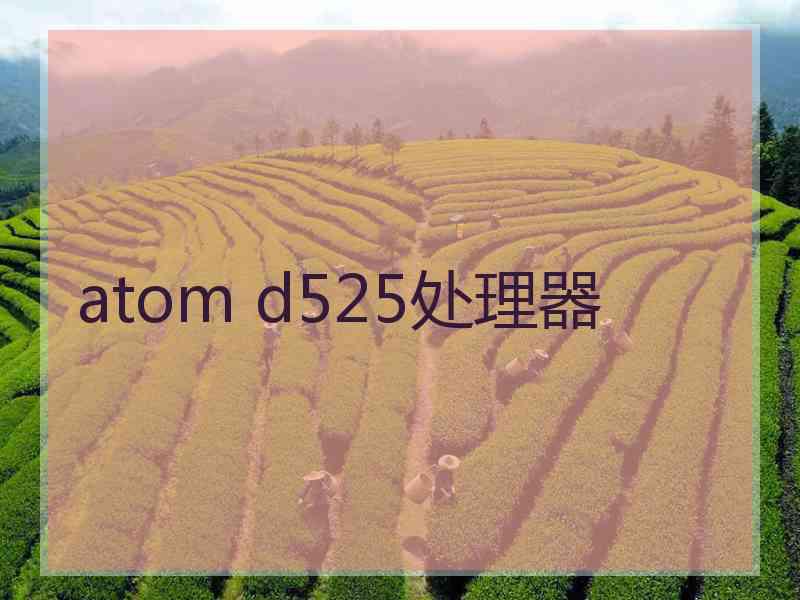 atom d525处理器