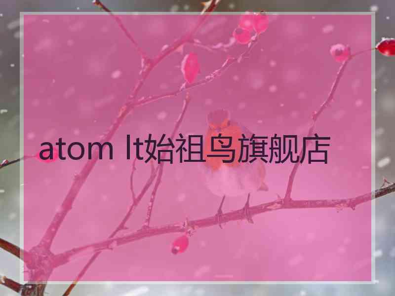 atom lt始祖鸟旗舰店