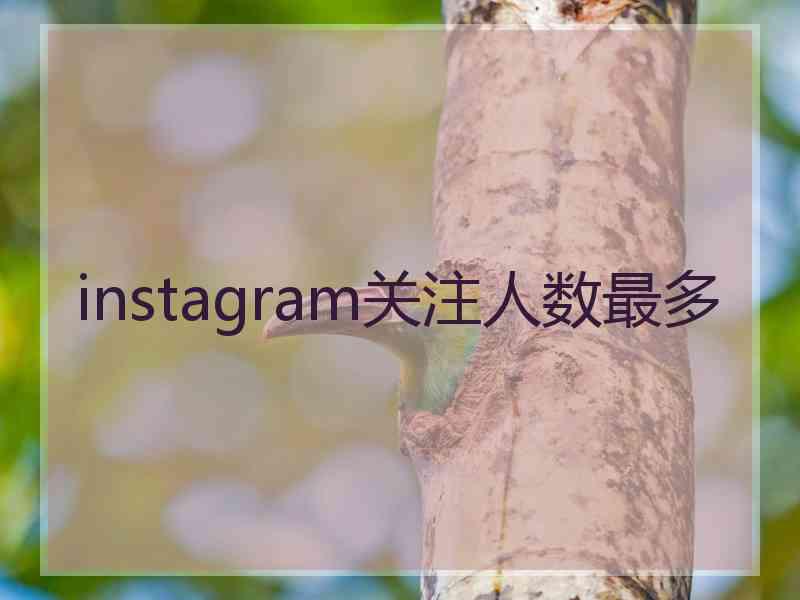 instagram关注人数最多