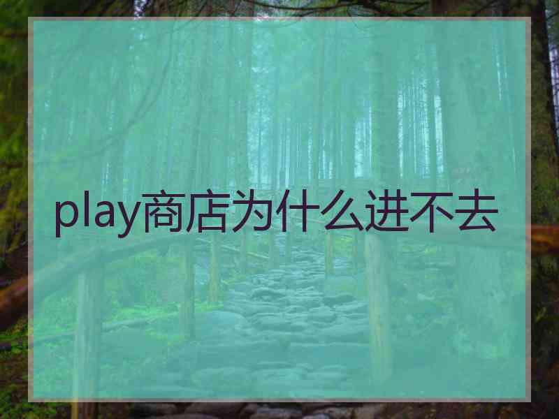 play商店为什么进不去