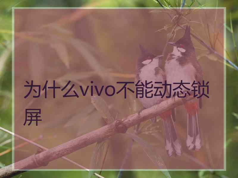 为什么vivo不能动态锁屏