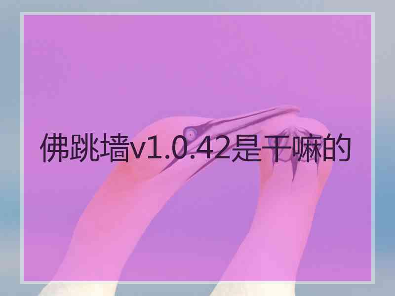 佛跳墙v1.0.42是干嘛的