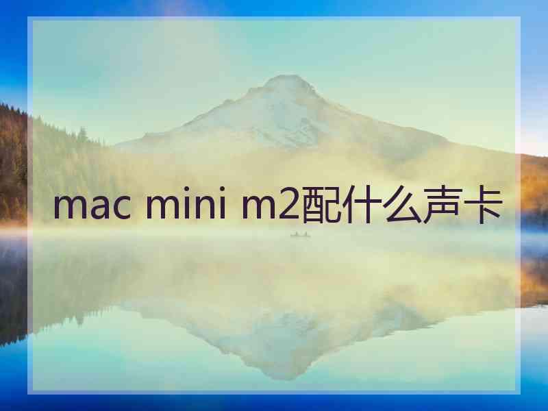 mac mini m2配什么声卡