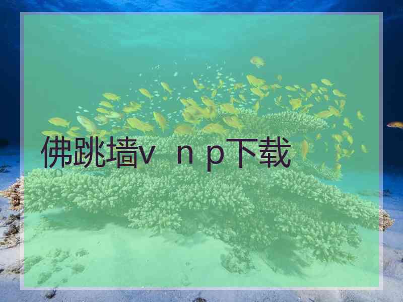 佛跳墙v  n p下载