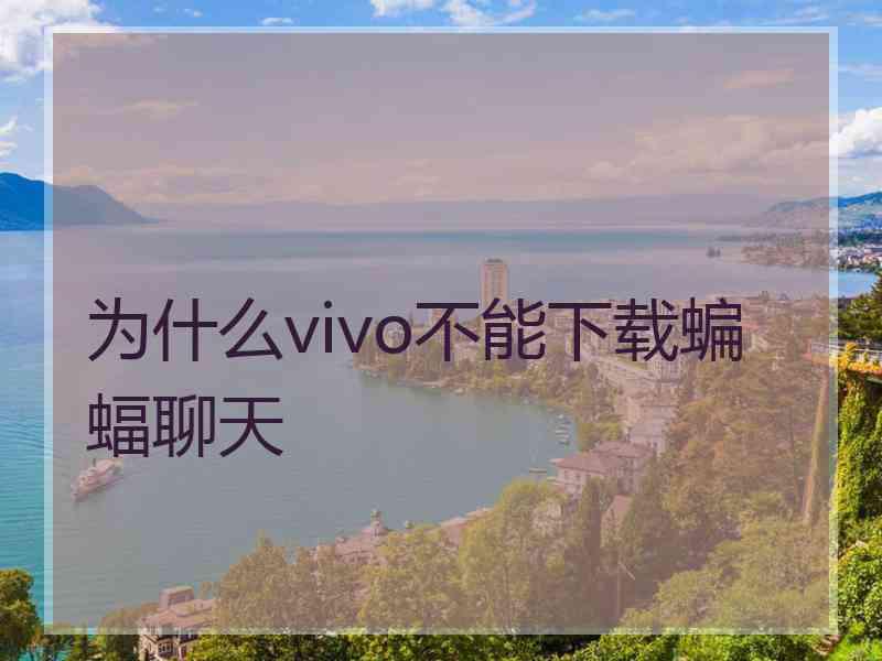 为什么vivo不能下载蝙蝠聊天