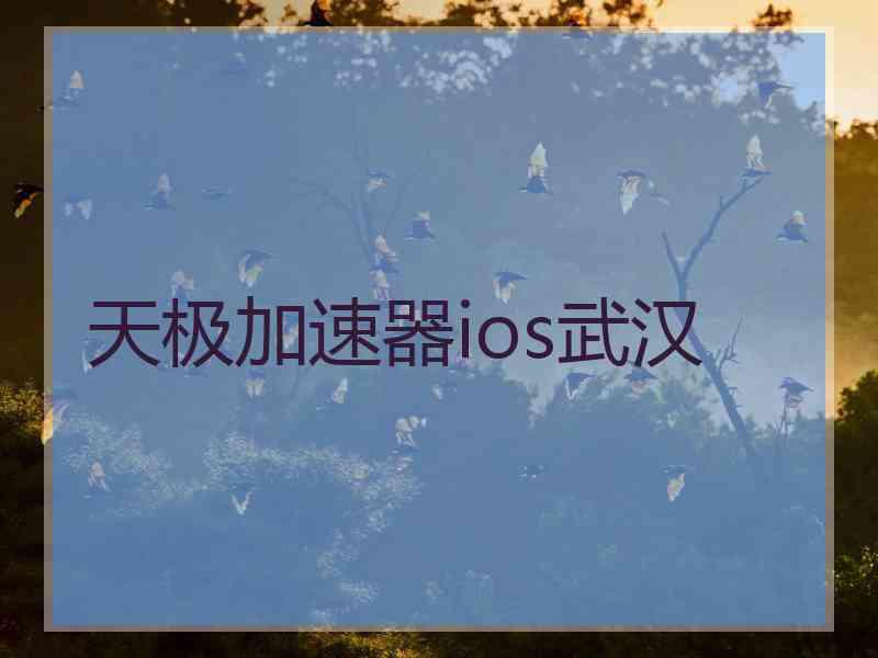 天极加速器ios武汉