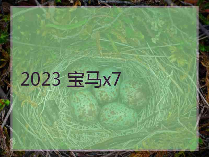 2023 宝马x7