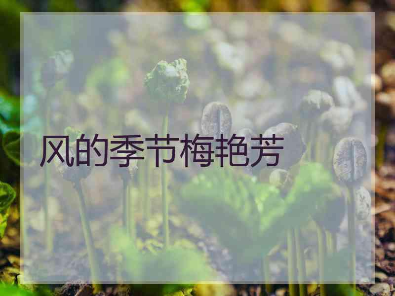 风的季节梅艳芳