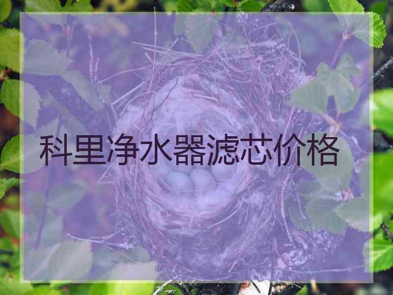 科里净水器滤芯价格