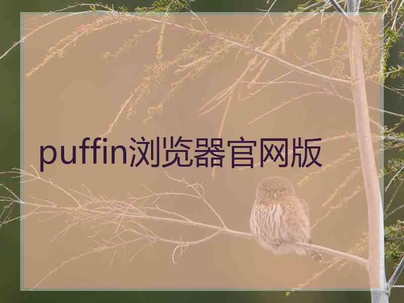 puffin浏览器官网版