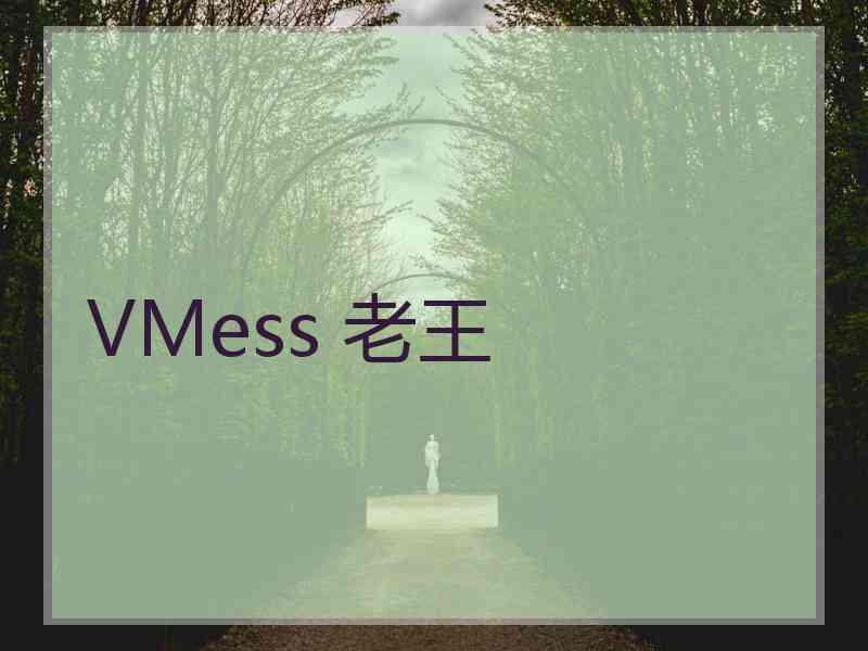 VMess 老王