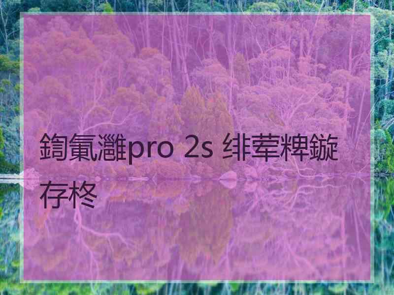 鍧氭灉pro 2s 绯荤粺鏇存柊