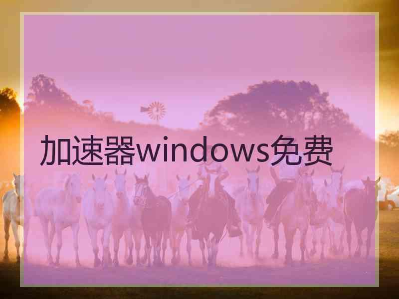 加速器windows免费